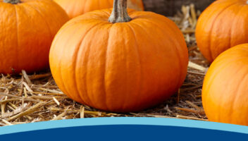 Nutritional Benefits of Pumpkins