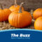 Nutritional Benefits of Pumpkins